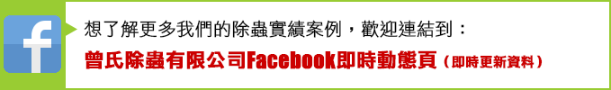 FB link