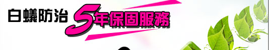 白蟻防治 5年保固服務
