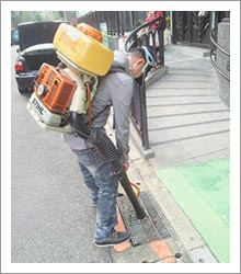社區外圍水溝蚊蟲防治 社區外圍水溝蚊蟲防治