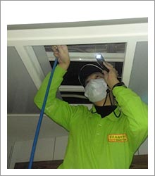 木料殘效噴灑 (3) 木料殘效噴灑 (3)