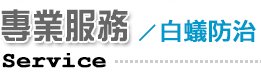 專業服務/白蟻防治