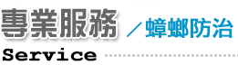 專業服務/蟑螂防治