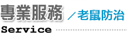 專業服務/老鼠防治